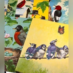 11 Vintage Large Colorful Bird Prints book illustrations by Jacob Bates Abbott